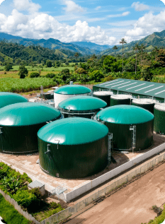 Coverdocsbioenergia