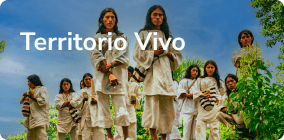 Territoriovivo 2